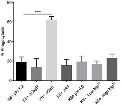 Characterization of Yersinia pestis Interactions with Human Neutrophils In vitro